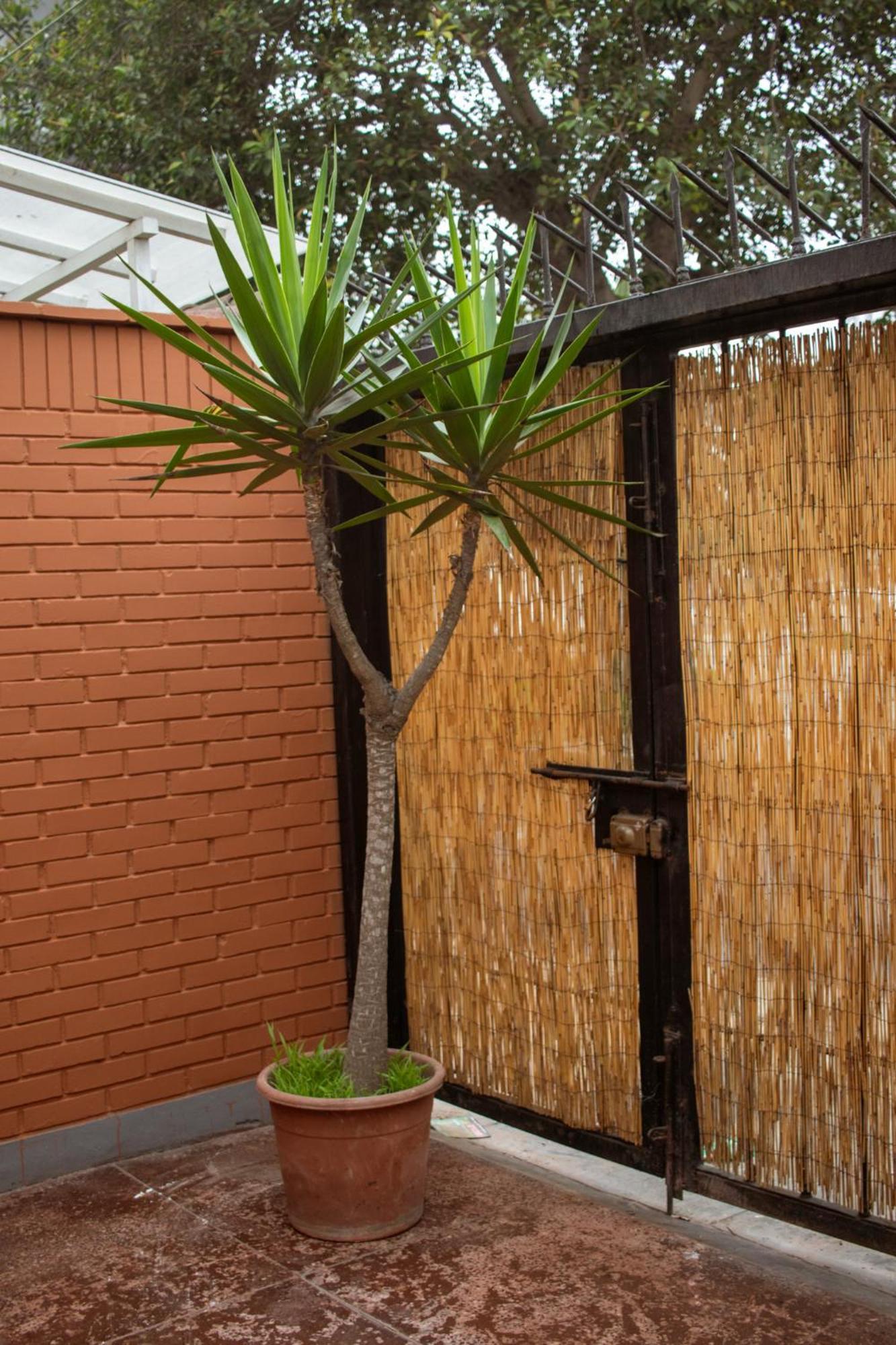 Temazcal Hostel Lima Exterior foto