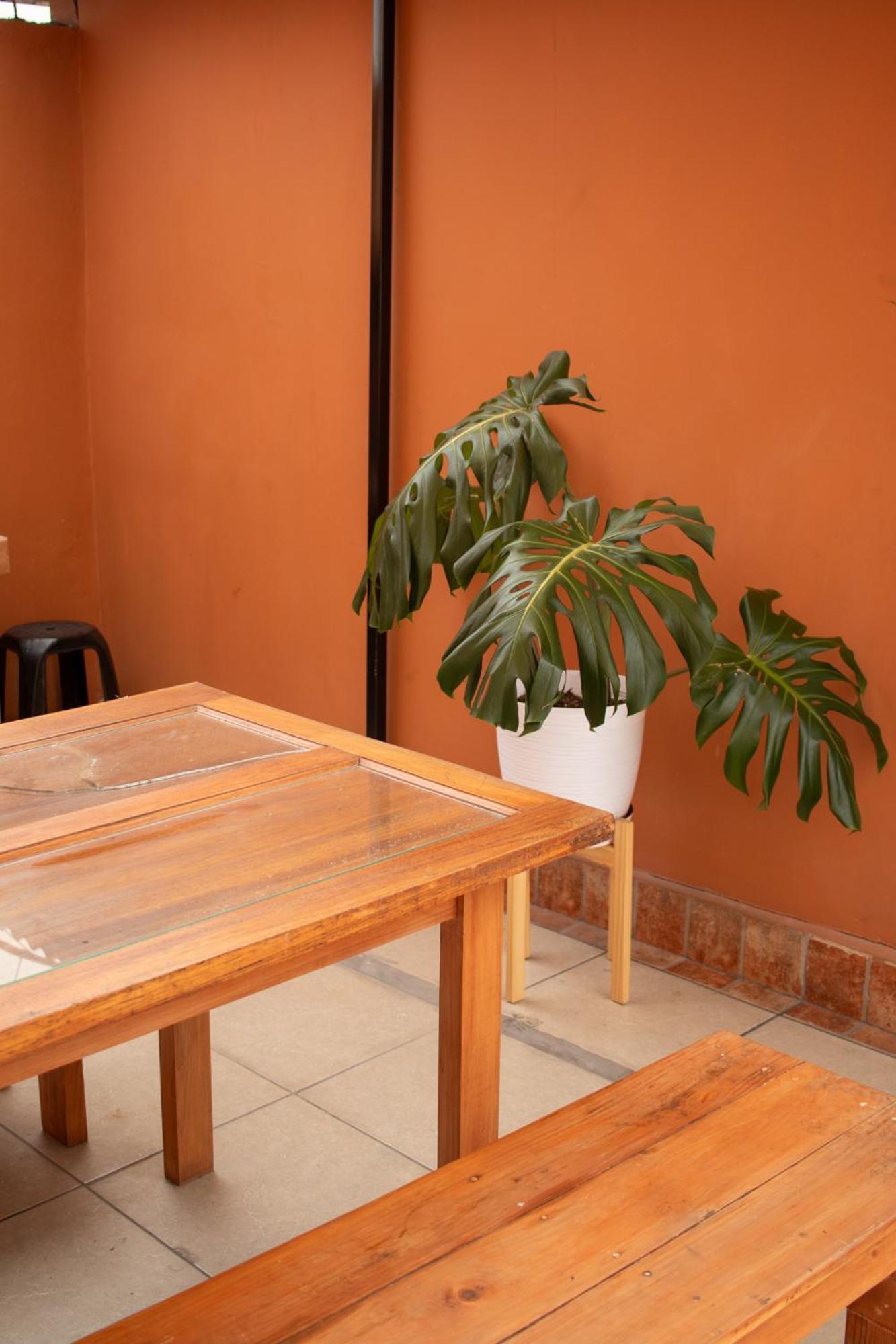 Temazcal Hostel Lima Exterior foto